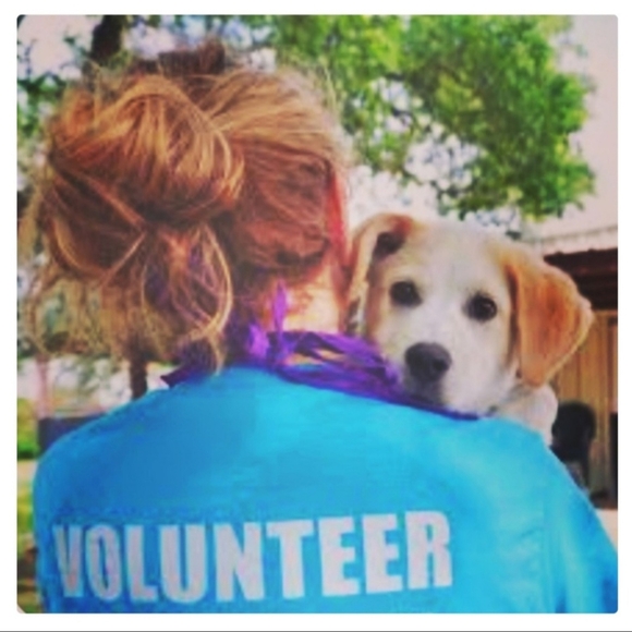 Meet your Posher, Ellen. https://www.instagram.com/ellensjewelrytreasurechest?ig - Picture 11 of 16